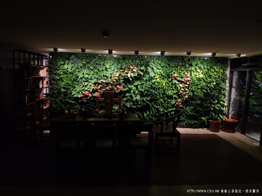 品茶会客室垂直绿化生态墙