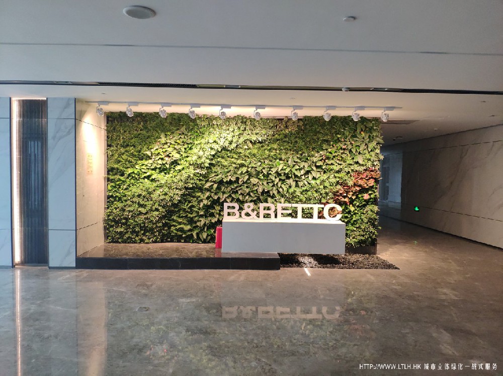深圳一带一路生态办公室植物墙
