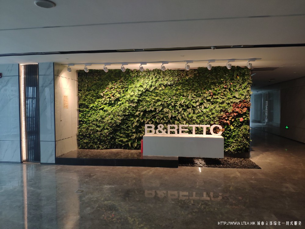 深圳一带一路生态办公室植物墙