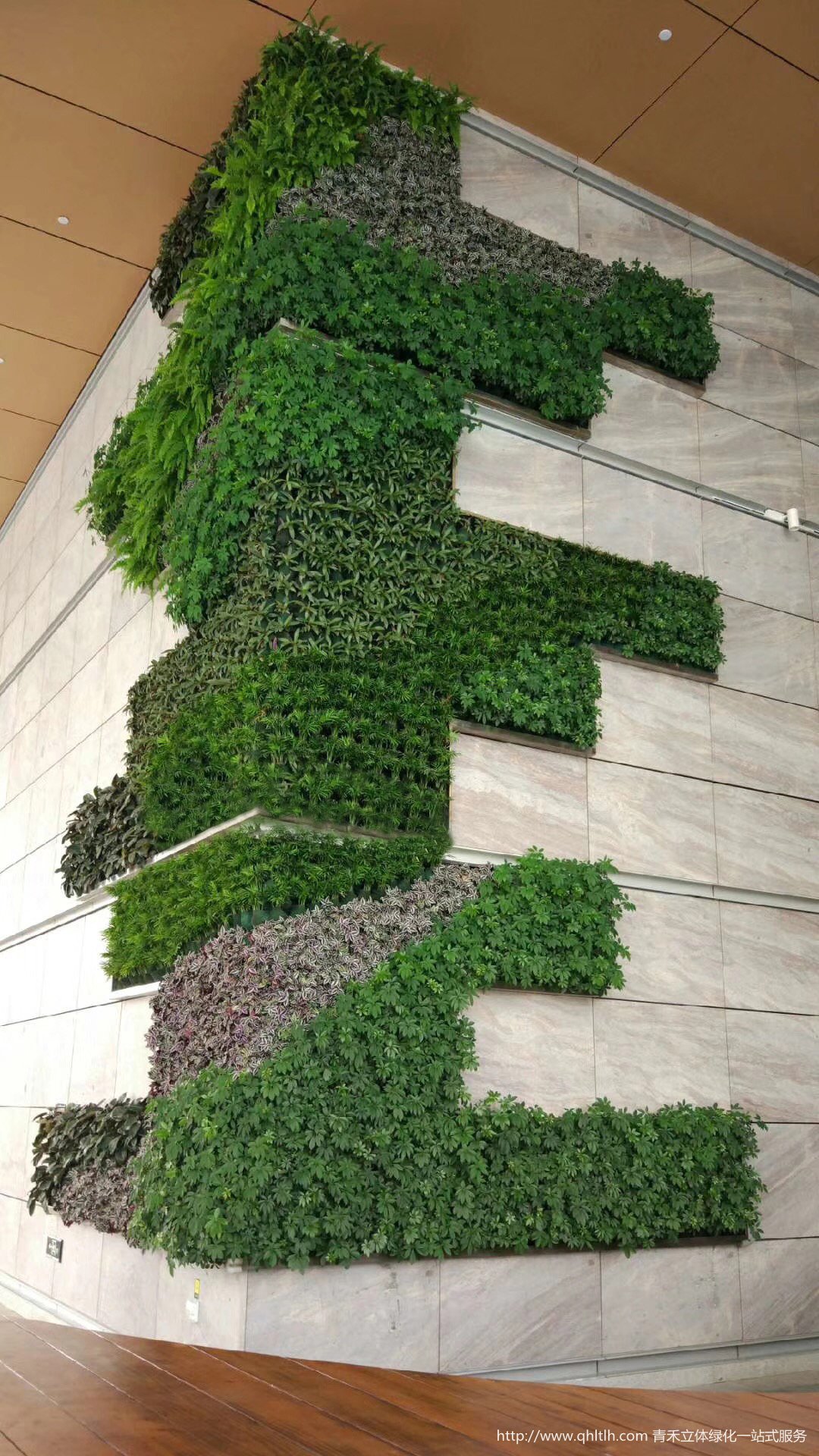 商场植物墙