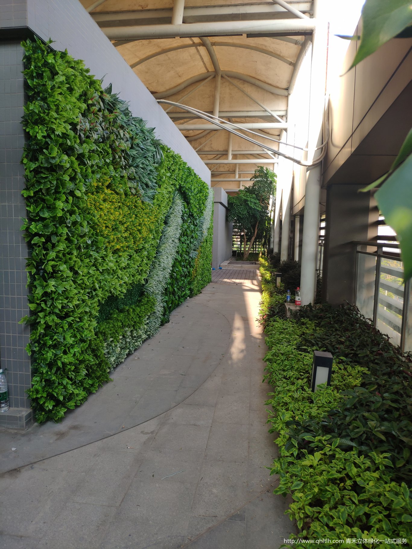 深圳仿真植物墙