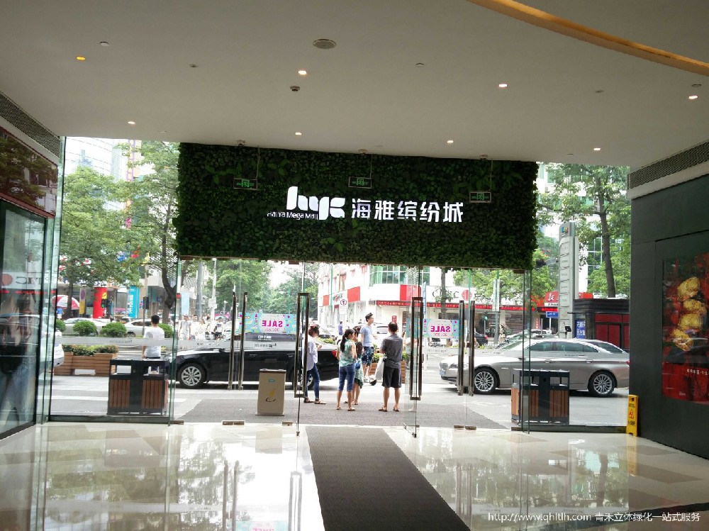深圳海雅缤纷城仿真植物墙