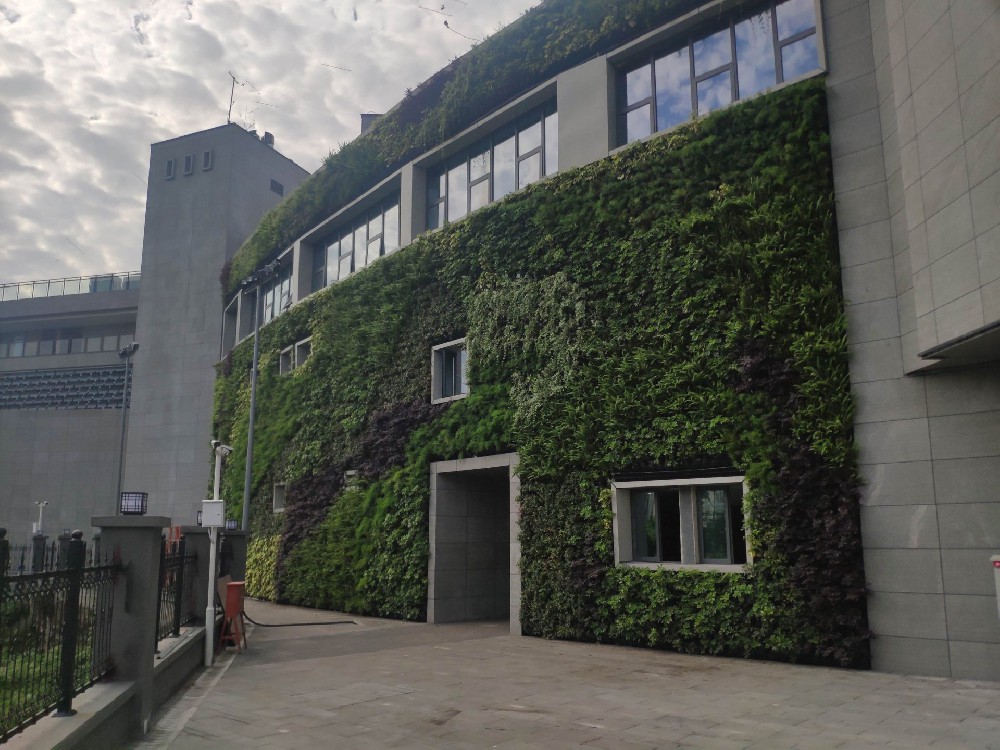 展馆外墙垂直绿化植物墙