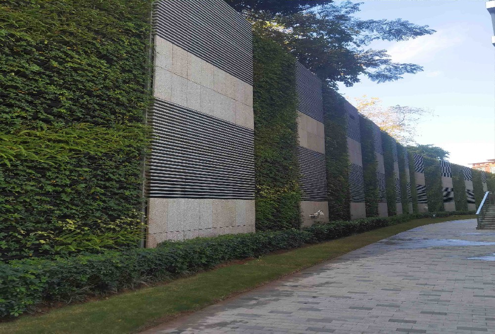 汉京九榕台垂直绿化植物墙