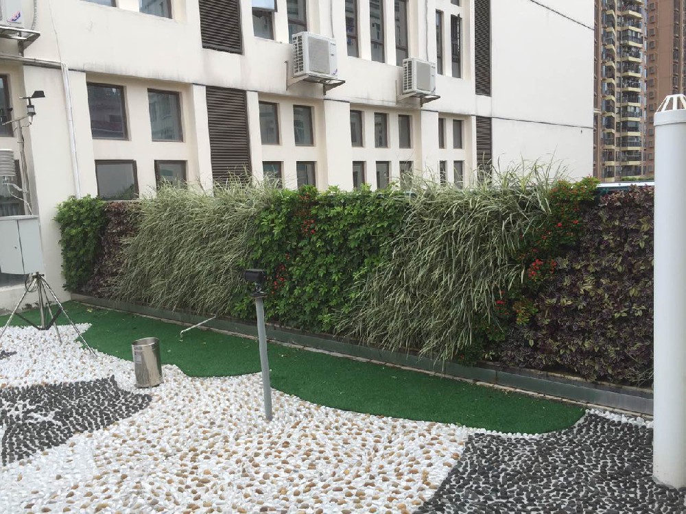 深圳罗芳小学垂直绿化植物墙